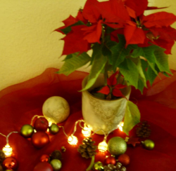 come together - sing together